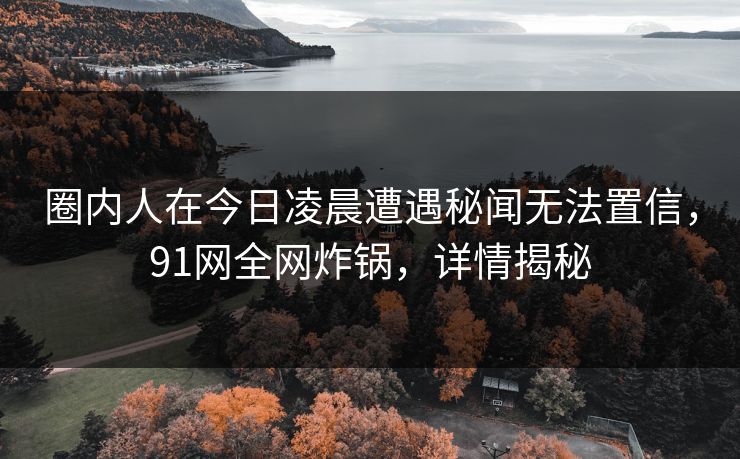 圈内人在今日凌晨遭遇秘闻无法置信，91网全网炸锅，详情揭秘