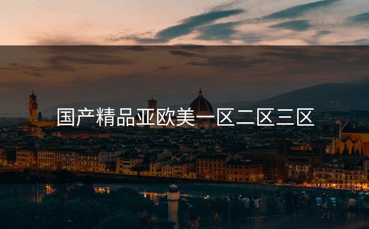 国产精品亚欧美一区二区三区