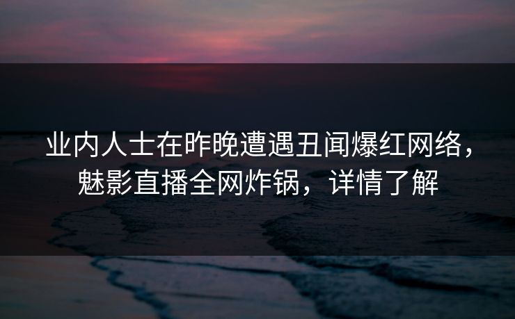 业内人士在昨晚遭遇丑闻爆红网络，魅影直播全网炸锅，详情了解